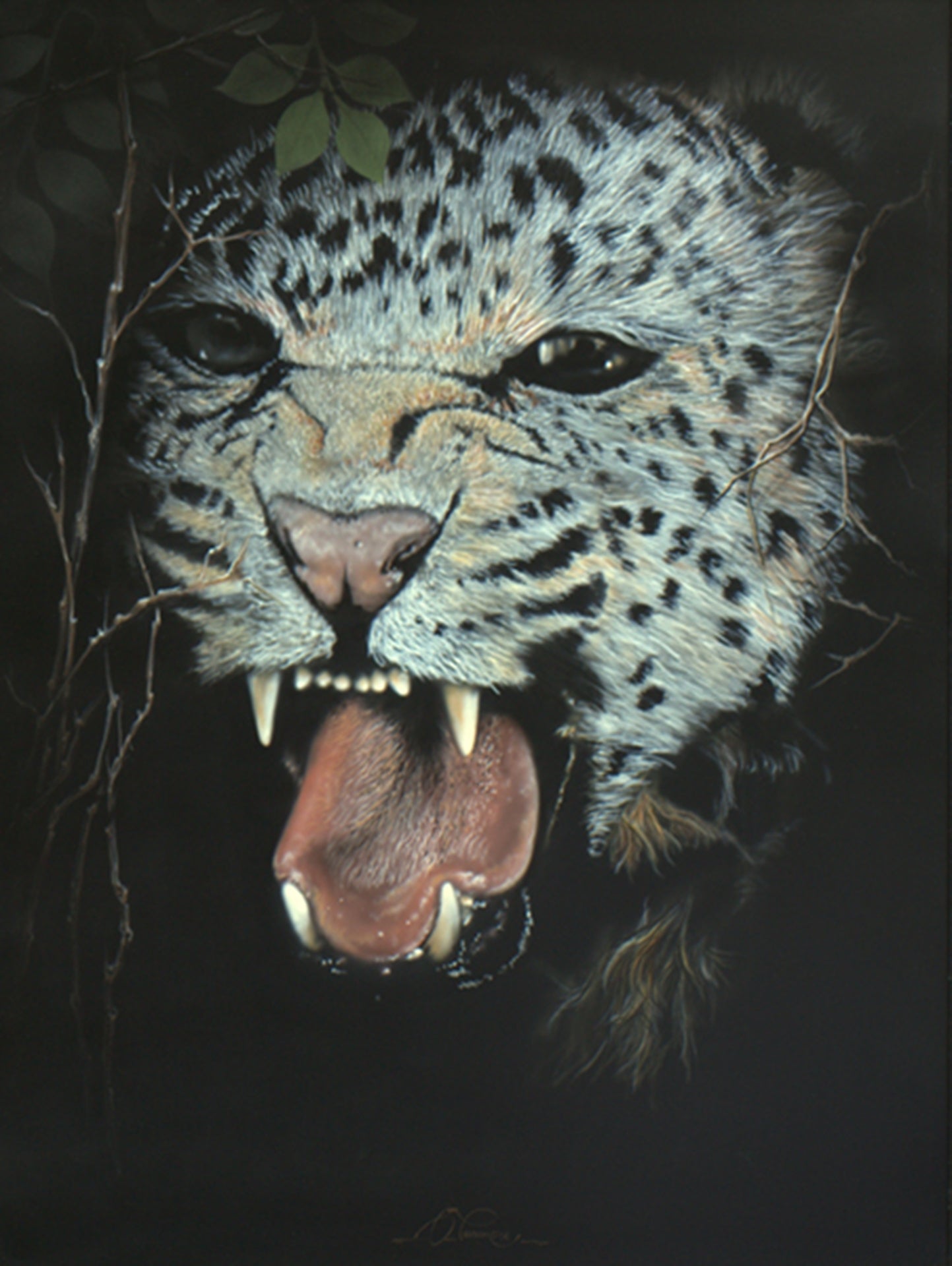 Jasmin - Leopard