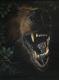 Grizz - Grizzly Bear
