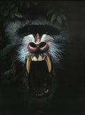 Mandrill - Monkey