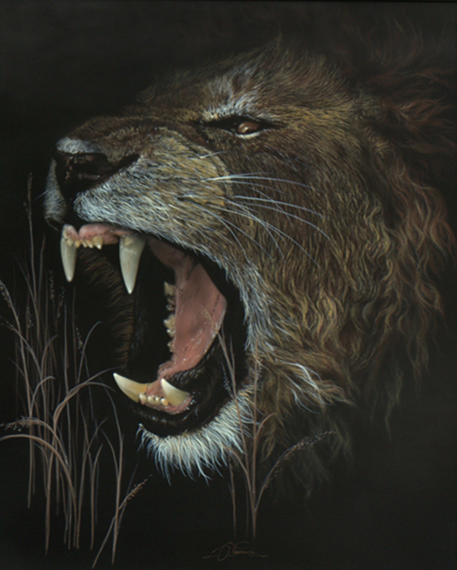 Top Cat - Lion