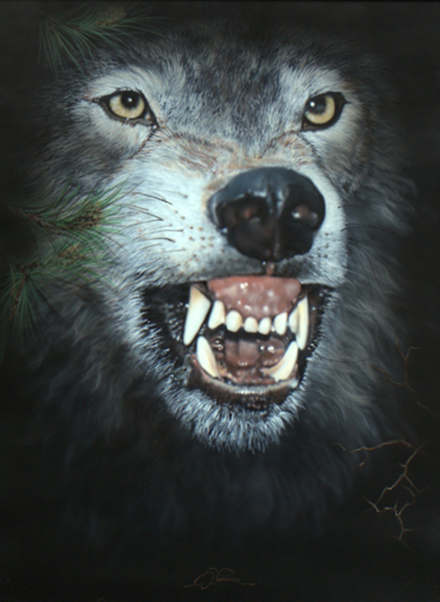 Fang - Wolf