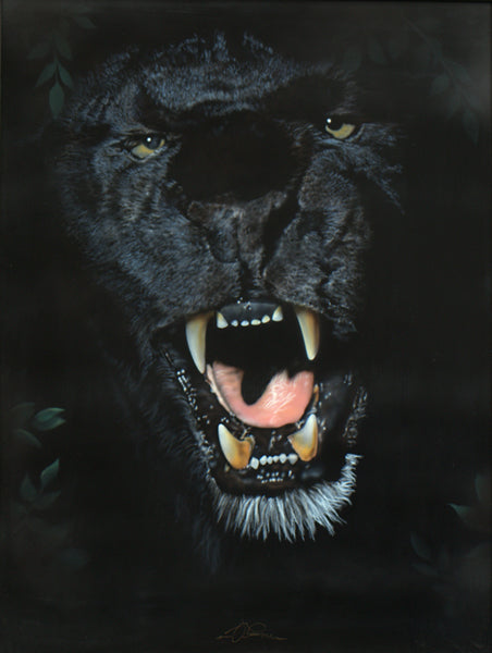 Bubba - Black Leopard