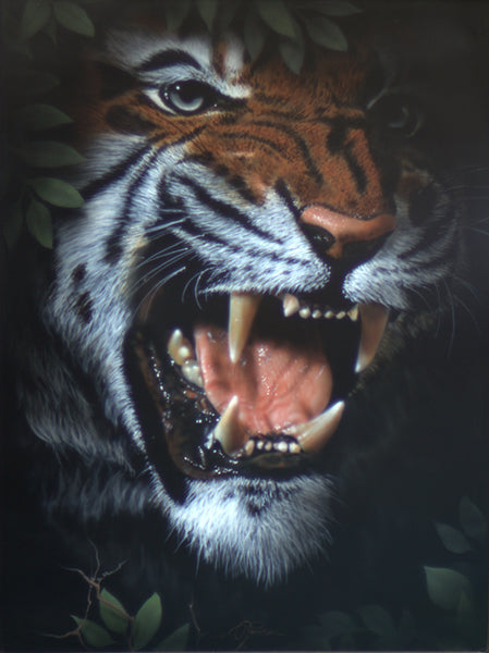 Sherakaun - Tiger