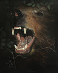 Choco - Brown Bear